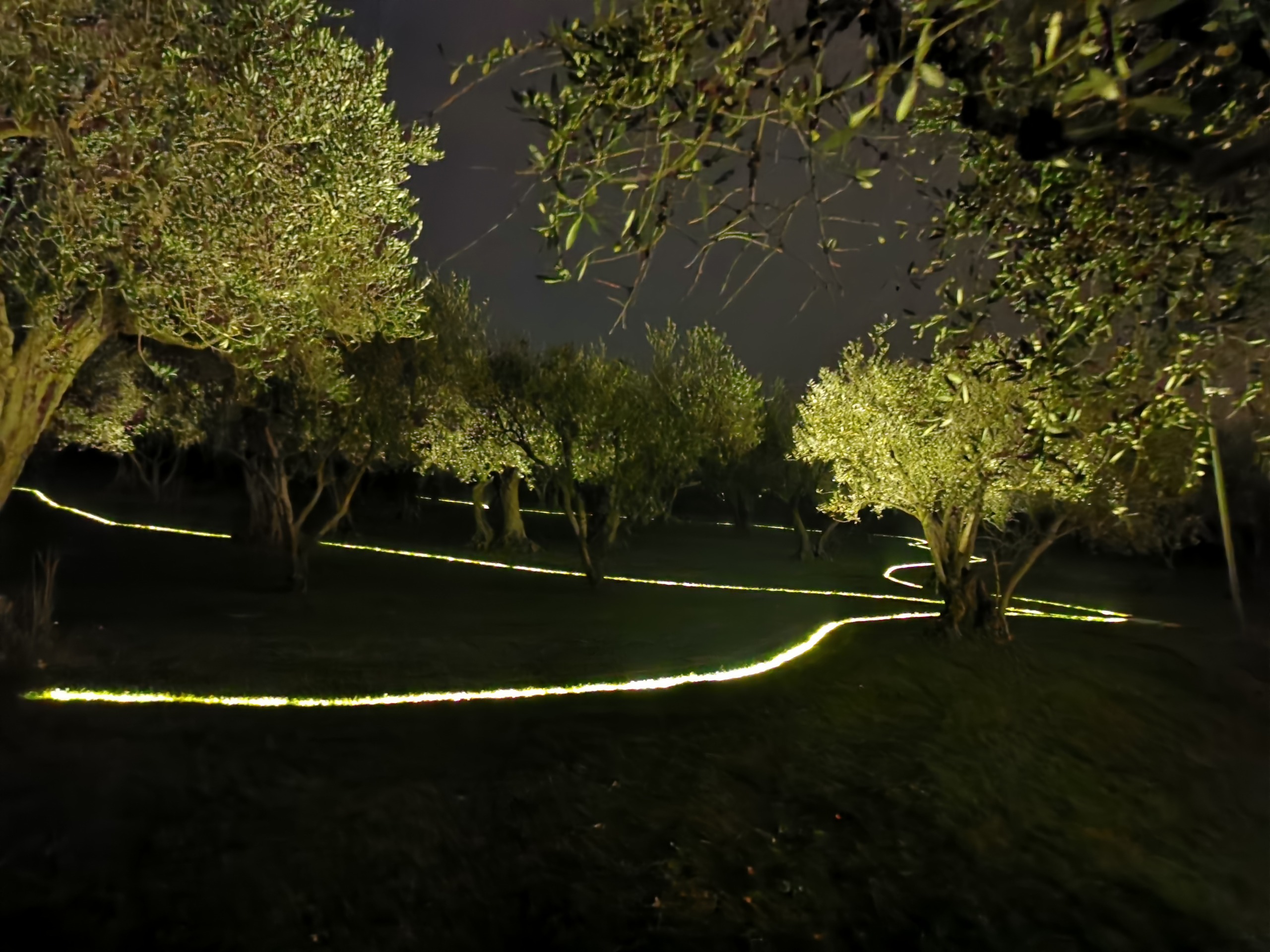 Silvia Ghirelli e Daniele Canuti - progetto illuminazione